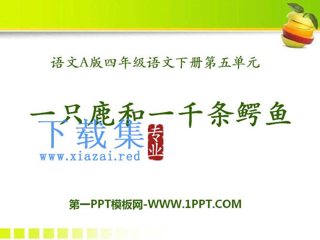 《一只鹿和一千条鳄鱼》PPT课件