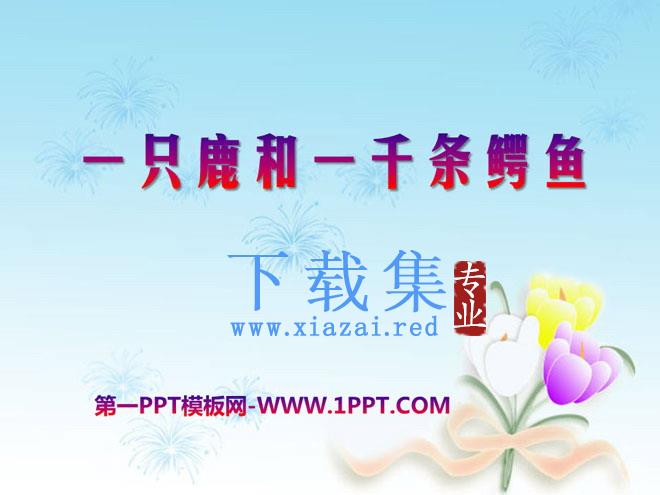 《一只鹿和一千条鳄鱼》PPT课件3