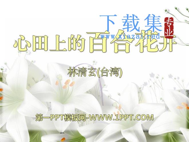 《心田上的百合花开》PPT课件2