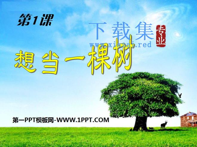 《想当一棵树》PPT课件