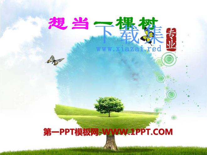 《想当一棵树》PPT课件2