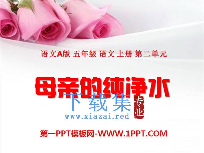 《母亲的纯净水》PPT课件5