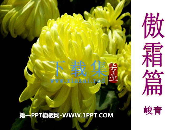 《傲霜篇》PPT课件