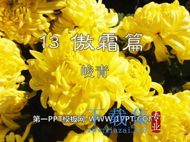 《傲霜篇》PPT课件3