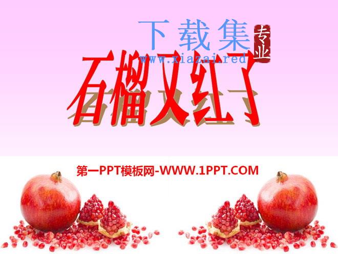 《石榴又红了》PPT课件