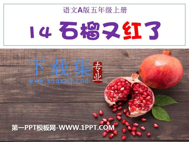 《石榴又红了》PPT课件2