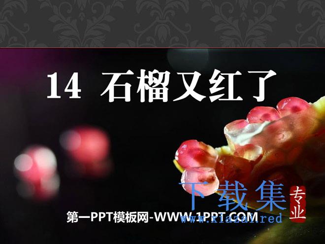 《石榴又红了》PPT课件3