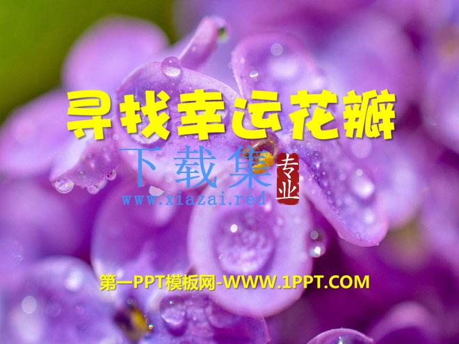 《寻找幸运花瓣》PPT课件5
