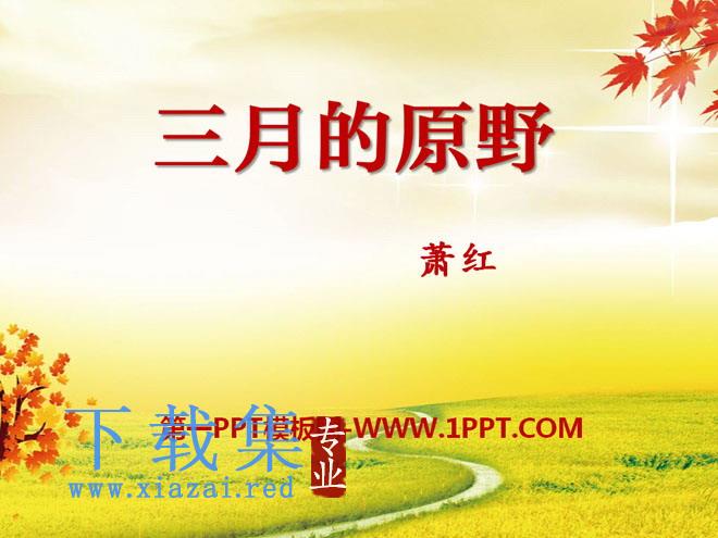 《三月的原野》PPT课件