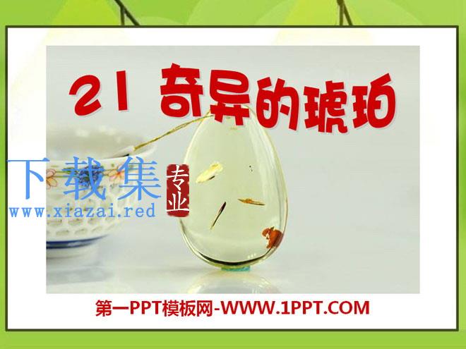 《奇异的琥珀》PPT课件6