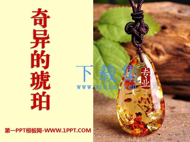 《奇异的琥珀》PPT课件8