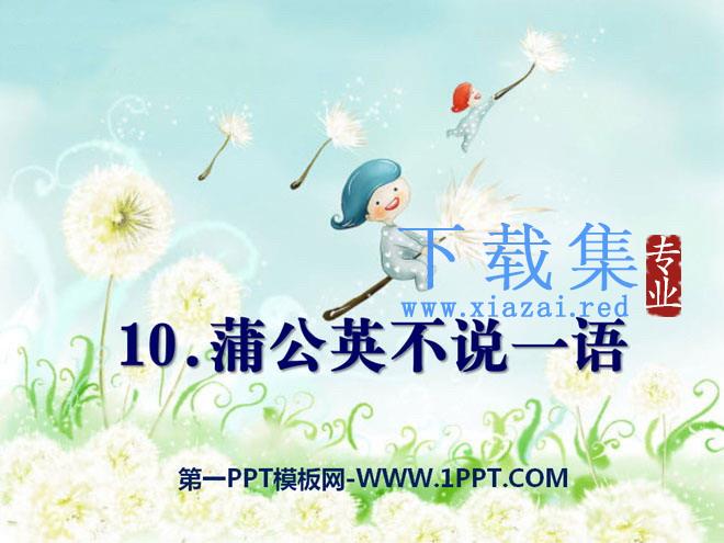 《蒲公英不说一语》PPT课件2