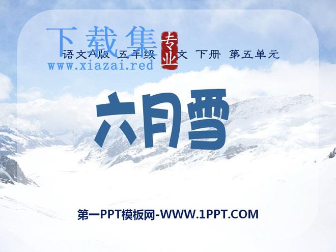 《六月雪》PPT课件