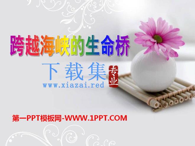 《跨越海峡的生命桥》PPT课件12