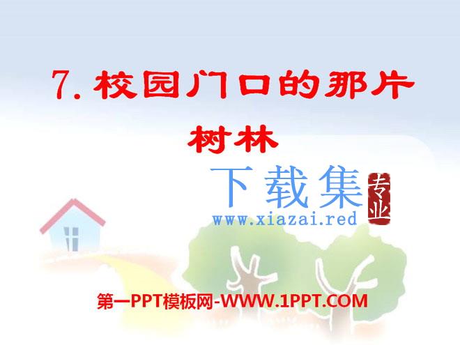 《校园门口的那片树林》PPT课件2