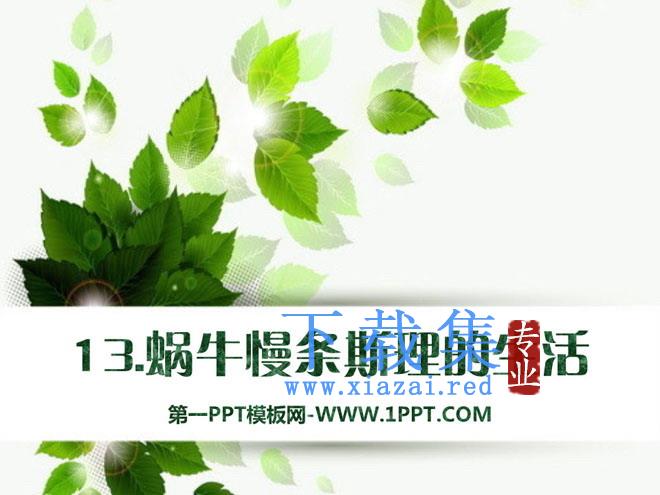 《蜗牛慢条斯理的生活》PPT课件