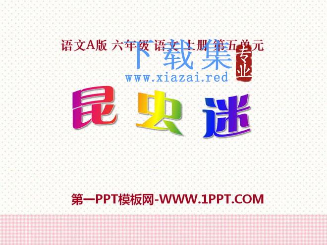 《昆虫迷》PPT课件3