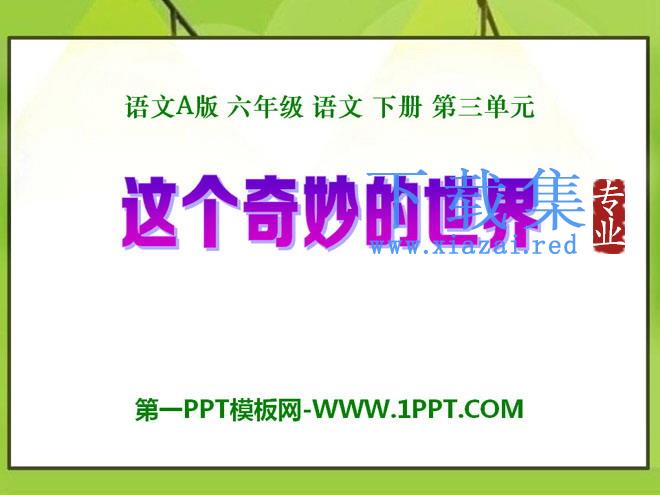《这个奇妙的世界》PPT课件3