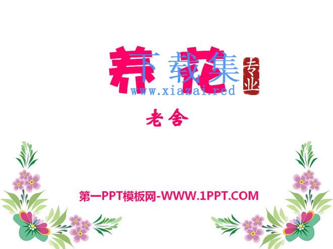 《养花》PPT课件12