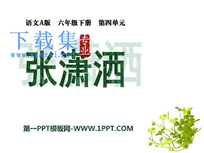 《张潇洒》PPT课件