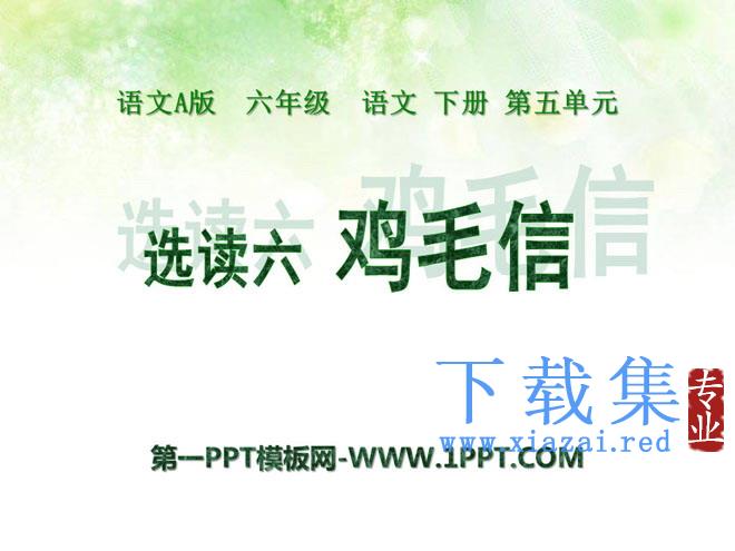 《鸡毛信》PPT课件5