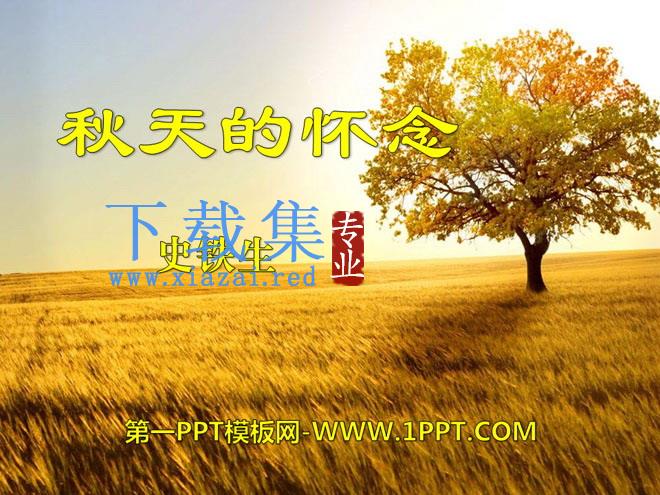 《秋天的怀念》PPT课件9