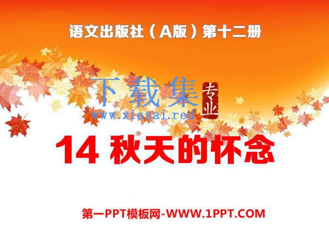 《秋天的怀念》PPT课件11