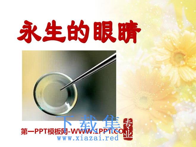 《永生的眼睛》PPT课件10