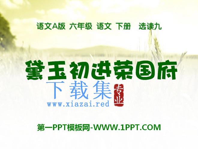 《黛玉初进荣国府》PPT课件3