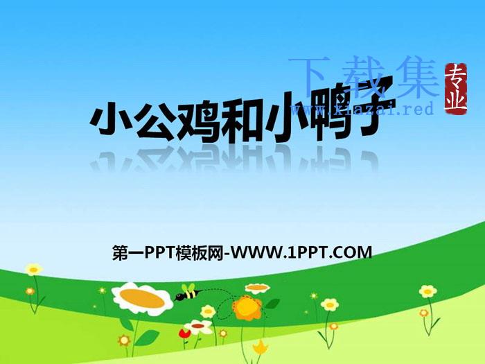 《小公鸡和小鸭子》PPT