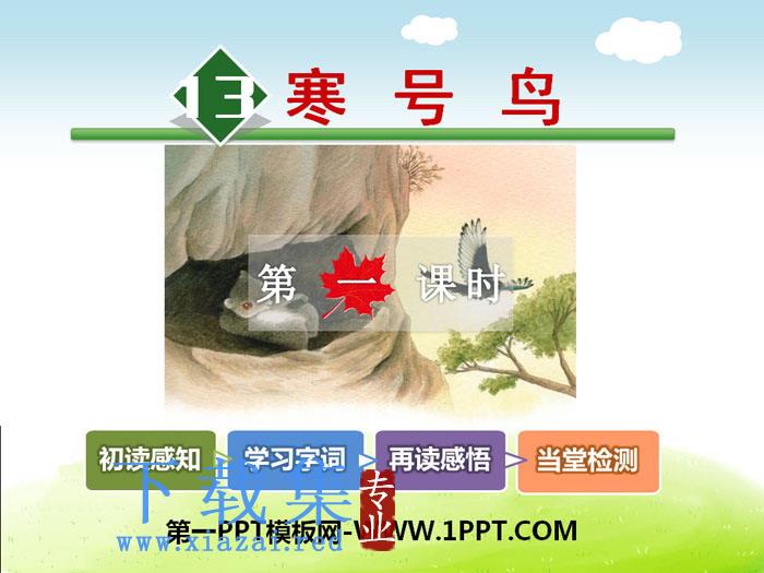 《寒号鸟》PPT