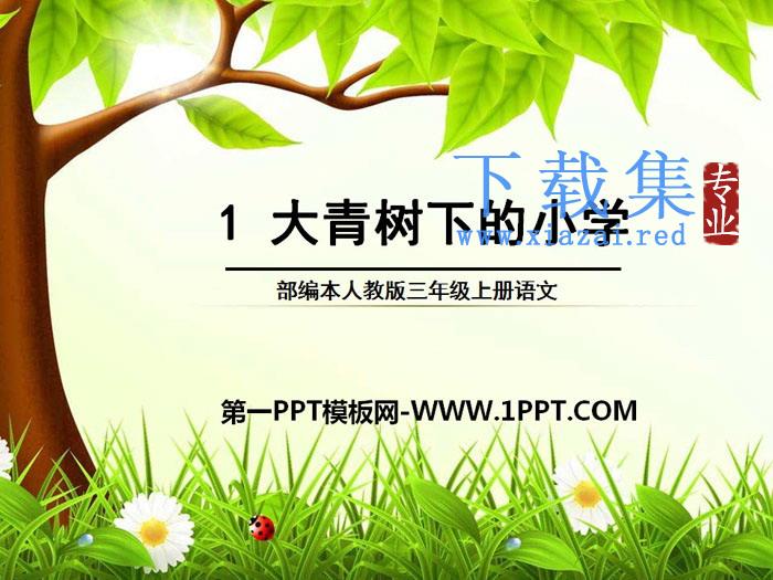 《大青树下的小学》PPT