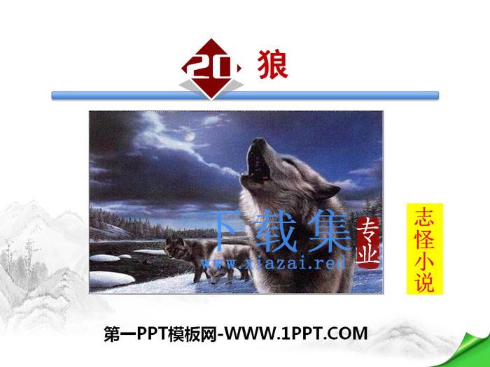 《狼》PPT课件下载