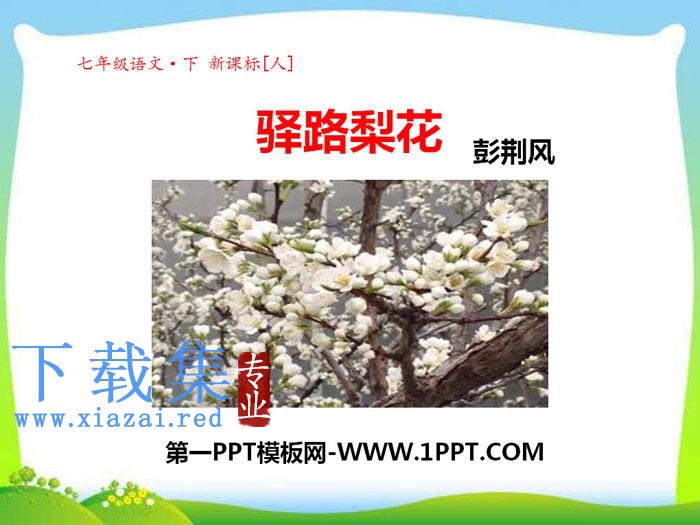 《驿路梨花》PPT课件