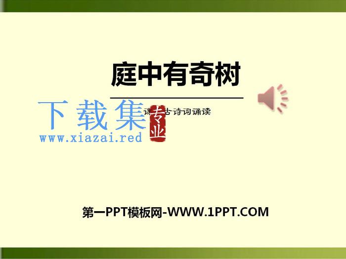 《庭中有奇树》PPT