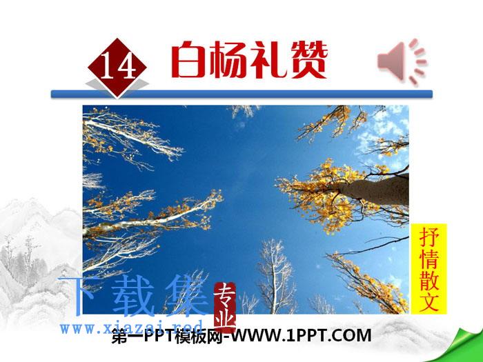 《白杨礼赞》PPT