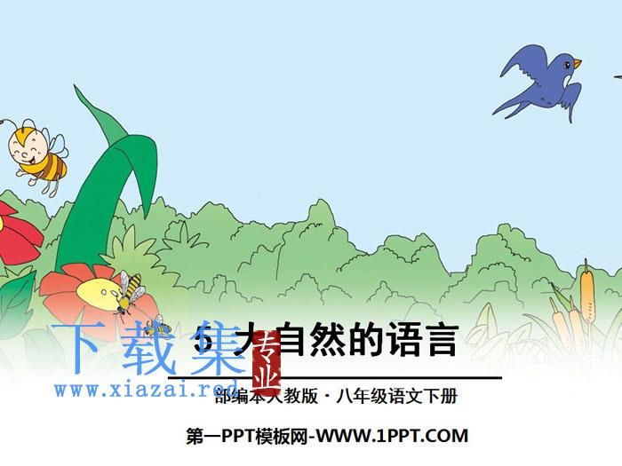 《大自然的语言》PPT