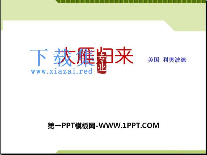 《大雁归来》PPT