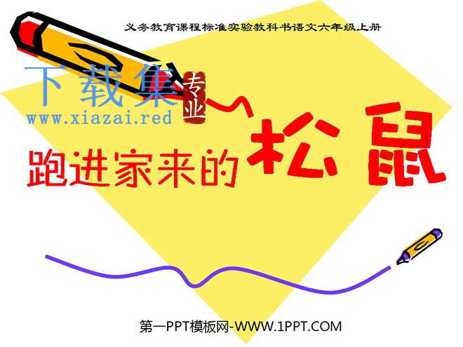 《跑进家来的松鼠》PPT课件下载2