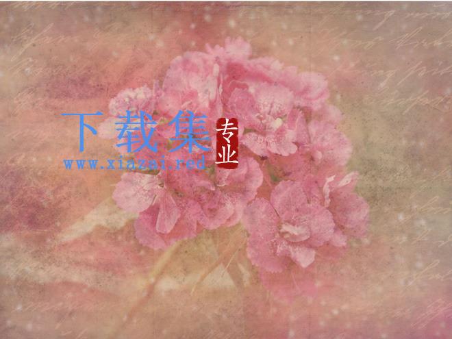 唯美粉色花卉艺术PPT背景图片