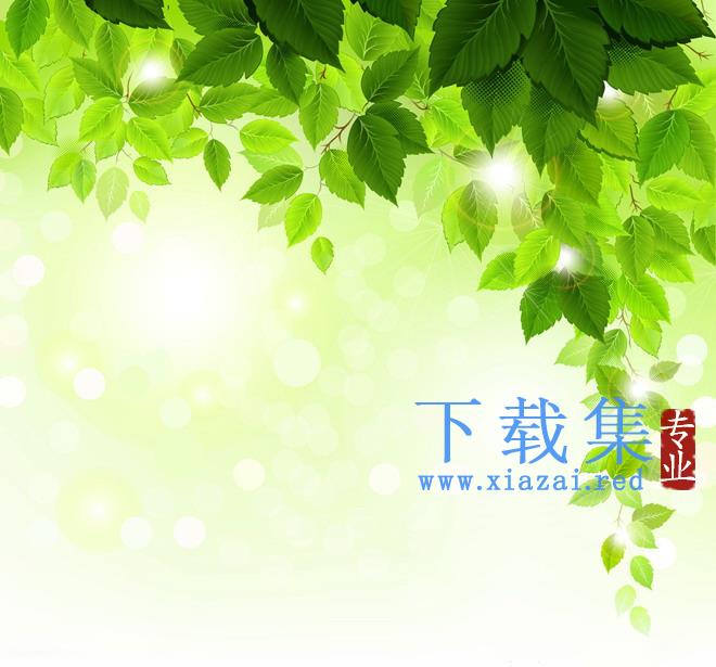 高清光晕叶子PPT背景图片