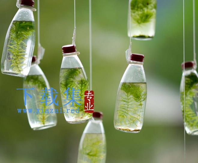 玻璃水杯瓶子绿苔植物PPT背景图片