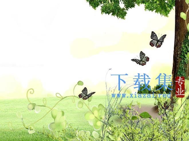 草坪大树蝴蝶花卉自然PPT背景图片