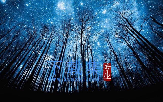蓝色星空下幽深树林背影PPT背景图片