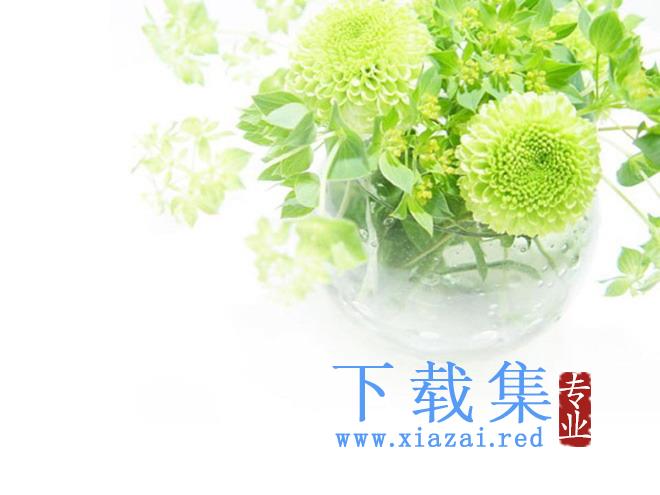 绿色花瓶植物PPT背景图片