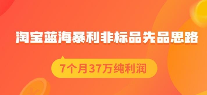 盗坤淘宝蓝海暴利非标品先品思路，7个月37万纯利润，压箱干货分享！