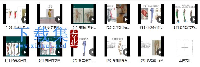 郑大解剖学人体姿势评估与解剖学分析（进阶）徐高磊