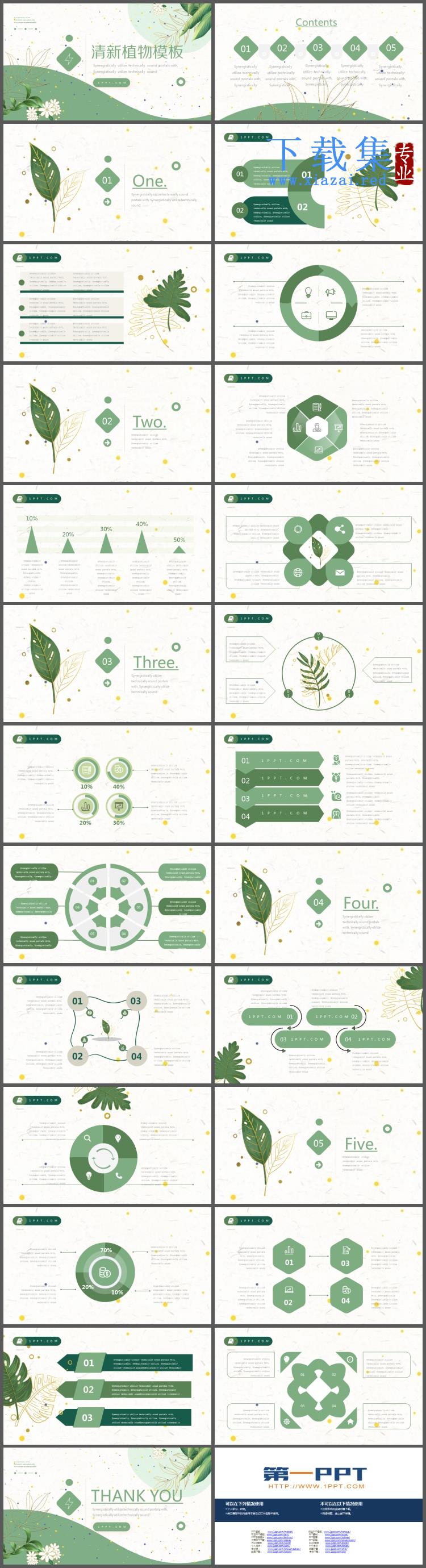 绿色清新植物叶子花卉PPT模板免费下载  第2张