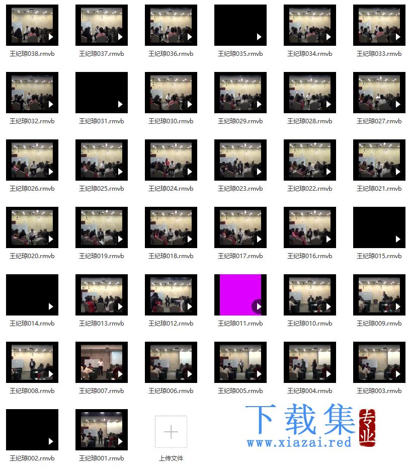 王纪琼-心理咨询技术案例实操训练营（三天线下）视频录像