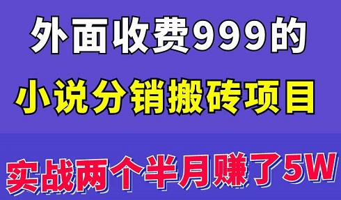 外面收费999的小说分销搬砖项目：实战两个半月赚了5W块，操作简单！